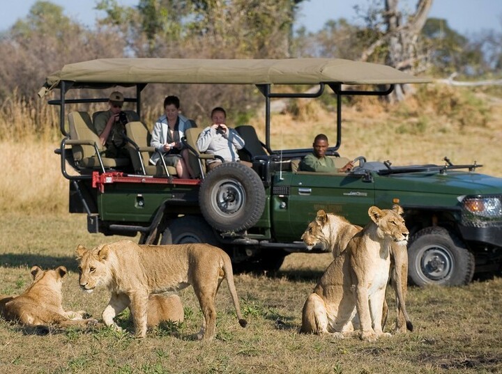 Chobe Day Trip 